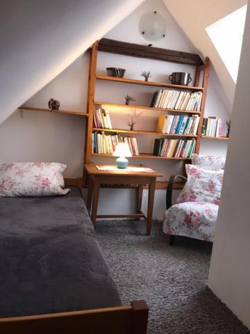 Apartman Bechyně エクステリア 写真
